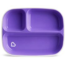 46727_splash_divided_plates_purple